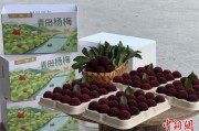起卦在线高速赋能产业升级：一条“杨梅路”的致富密码